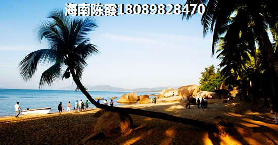 2024年河北的房子还能生纸吗？